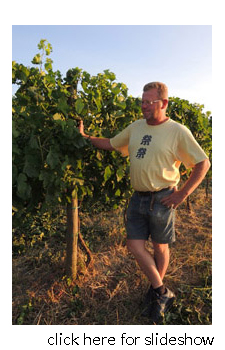 Simone Mochi stands amongst his vines.